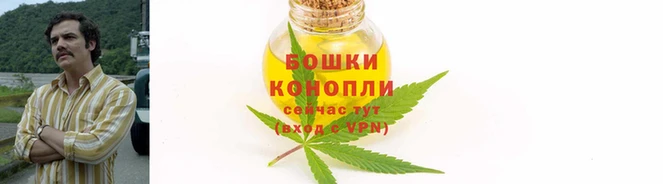 дурь Нефтекумск