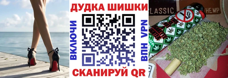 Канабис конопля  Северская 